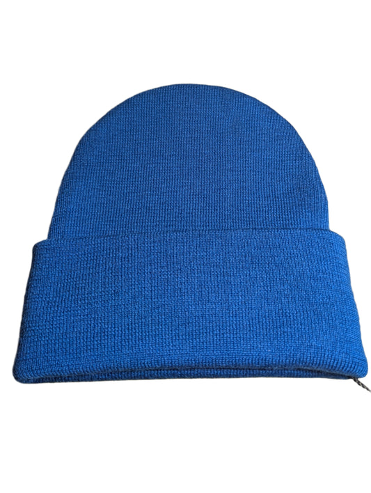 Gucci Blue Beanie